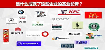 薪酬管理與績效管理 打造高效團隊，實現(xiàn)業(yè)績倍增的盈利模式