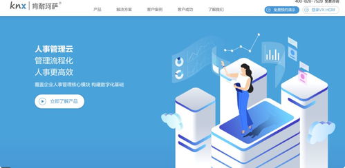 選對人事管理軟件，讓企業運營更高效 14款主流員工管理系統與薪酬服務深度解析